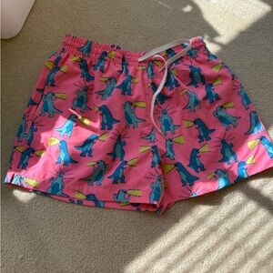 Chubbies Swim Shorts